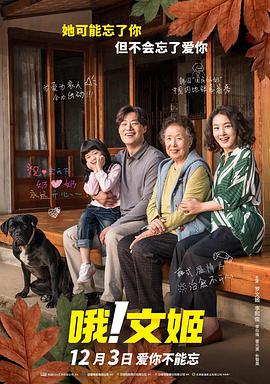 欧美不卡网